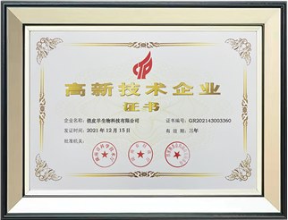 2021年高新技术企业证书